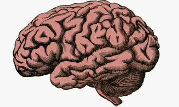 Os fósseis e a mente