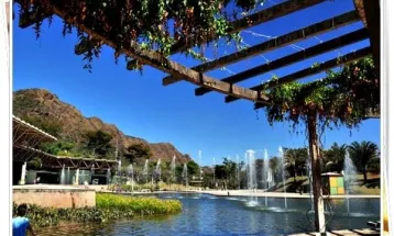 Micos morrem infectados com vírus da herpes no Parque das Mangabeiras,