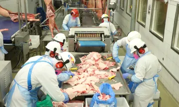 Novo mercado: Paraná vai exportar carne suína para o Chile