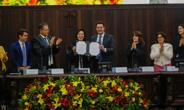 Governador sanciona lei que cria Câmara Criminal especializada em crimes contra a mulher