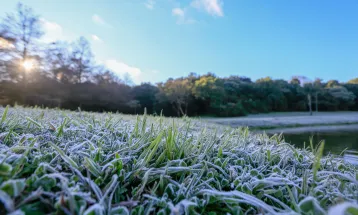 Primeira geada de 2025 é esperada para esta terça-feira, prevê Simepar