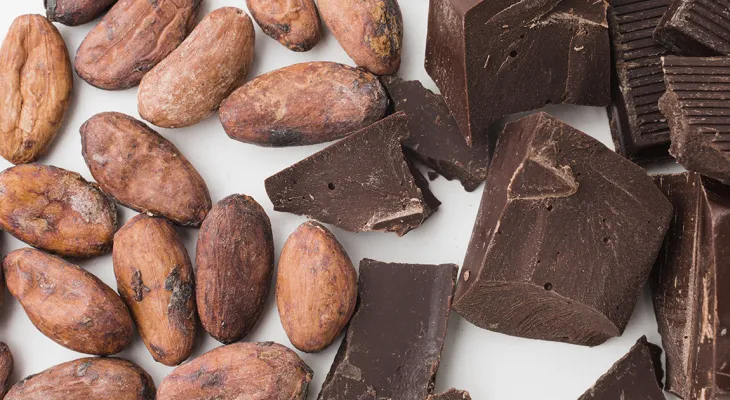 Pesquisadores desenvolvem formulação em pó para substituir o uso do cacau na produção de chocolate