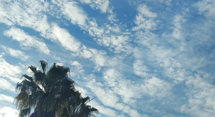 Clima se mantém estável nesta terça-feira em Cascavel, com máxima de 25°C