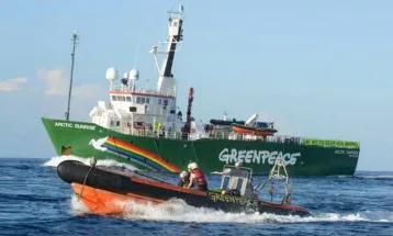 Predadores à vista!