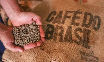 Preço do café deve continuar subindo 