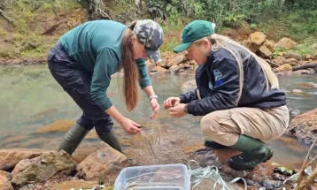 Duplicação entre Pitanga e Turvo começa com programas ambientais e projeto executivo
