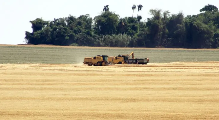 Comissão debate obstáculos para a realização do Cadastro Ambiental Rural e do georreferenciamento dos imóveis