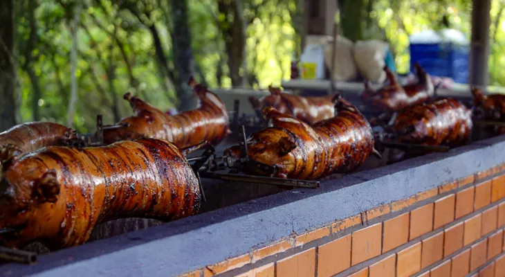 Toledo é referência em festas gastronômicas no campo e na cidade
