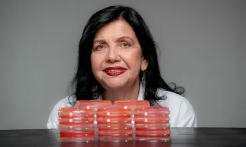 Cientista do Paraná, Mariangela Hungria recebe o Nobel da Agricultura