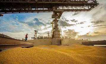 Paraná ocupa segundo lugar nas exportações de milho