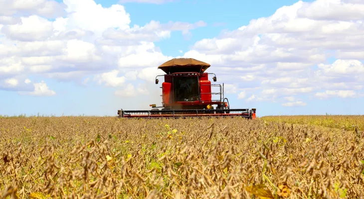 Agricultura: Vazio sanitário da soja no Paraná começa em junho