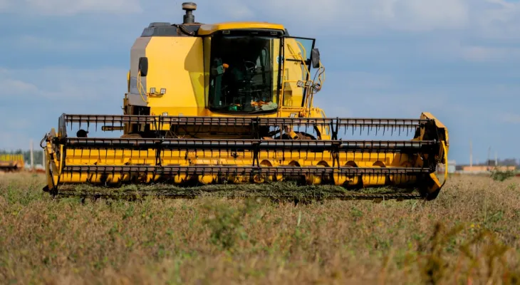 Colheita de feijão preto marca início da produção do primeiro produto da agricultura urbana