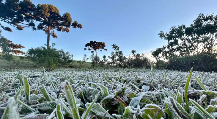 Primeira onda de frio chega ao Paraná semana que vem com termômetros perto de 0ºC