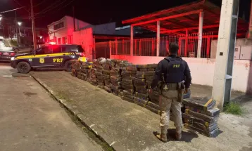 PRF apreende quase duas toneladas de maconha escondidas em carga de papel no Paraná
