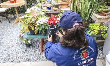 Casos de dengue caem 92% em Curitiba com trabalho intenso liderado pela Prefeitura