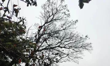 Frente fria chega a Cascavel com chuva, queda nas temperaturas e risco de geada