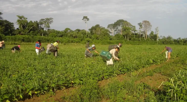 Produtores afetados por estiagem no RS podem renegociar crédito rural