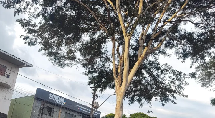 Semana começa com tempo fechado e alerta de chuva em Cascavel