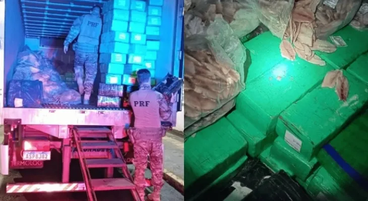 PRF apreende mais de 5 toneladas de maconha escondidas sob filés de tilápia