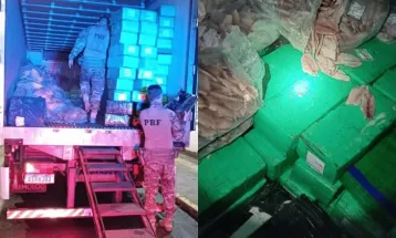 PRF apreende mais de 5 toneladas de maconha escondidas sob filés de tilápia