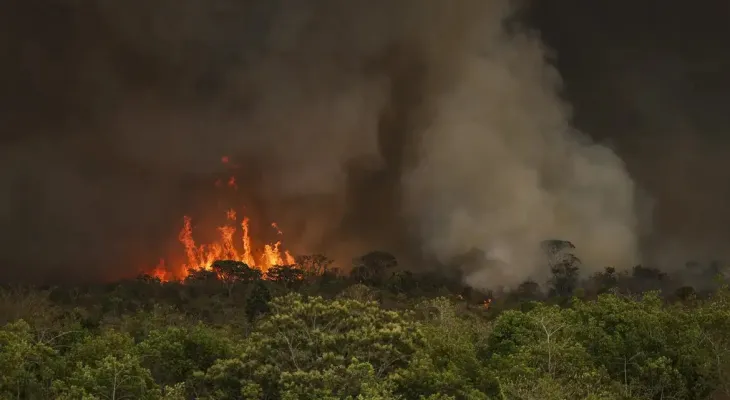 Queimadas fazem desmatamento crescer 92% na Amazônia