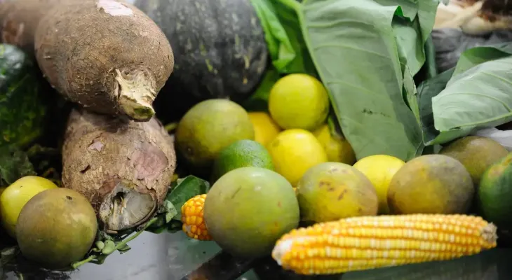 Cesta básica tem queda em 15 capitais e governo aponta impacto de medidas para conter inflação dos alimentos