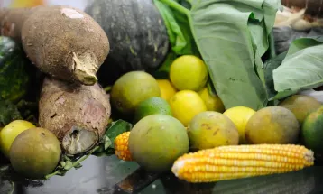 Cesta básica tem queda em 15 capitais e governo aponta impacto de medidas para conter inflação dos alimentos