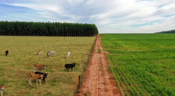 Maringá tem a terra agrícola mais cara do Paraná, aponta levantamento da Seab