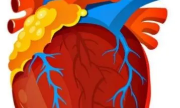 Coração valente (II)