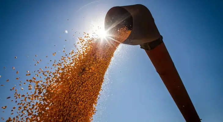 Brasil poderá ter novo recorde na produção de grãos na safra 2024/2025