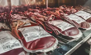 Dia Mundial do Doador de Sangue: uma única doação pode salvar 3 vidas