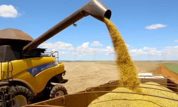 Vazio sanitário da soja passa a valer em todo o Paraná a partir deste sábado