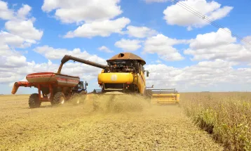 Toledo e Cascavel fazem dobradinha na ponta do VBP do Paraná