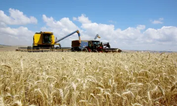 Governo Federal bloqueia R$ 445 milhões do seguro rural e setor agropecuário reage