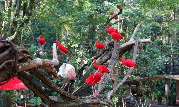 Parque das Aves reforça cuidados com os animais durante o inverno
