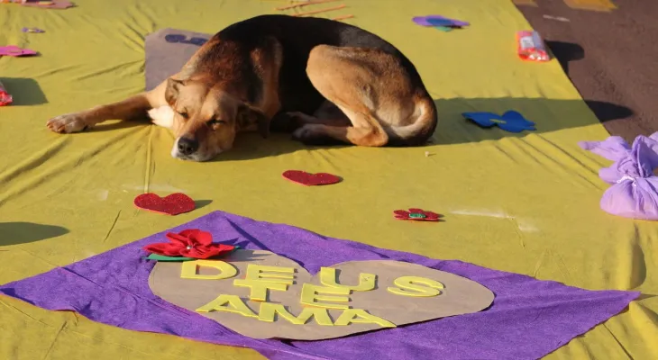 Cachorro “rouba a cena” ao dormir sobre tapete de Corpus Christi em Toledo