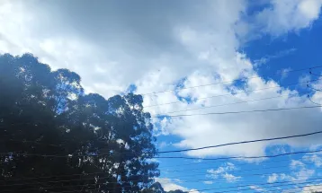 Paraná se prepara para a semana mais gelada do ano