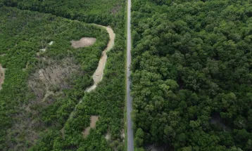 Construção de estradas impacta mangue amazônico