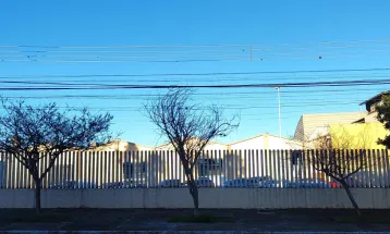 Cascavel registra a menor temperatura do ano com geada intensa e sensação térmica de -6°C