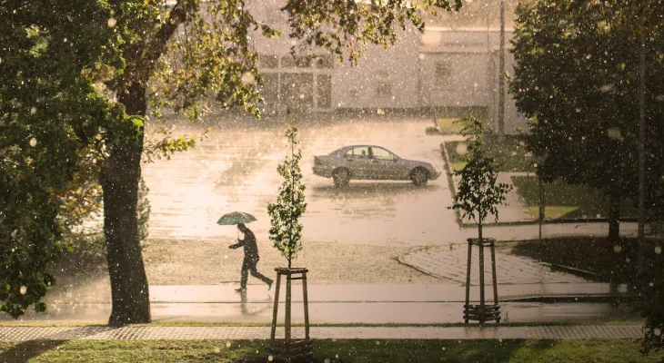 Por que sentimos cheiro de chuva? E gosto de mofo na água?