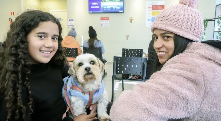 Hospital Veterinário Municipal de Curitiba completa cinco meses com média de 100 consultas por dia