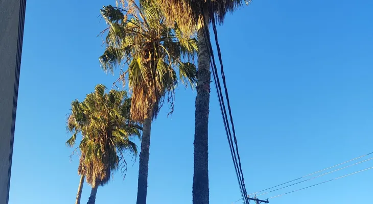 Frio persiste em Cascavel, mas o sol vai marcar presença