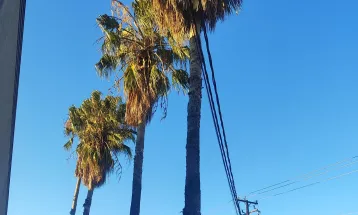 Frio persiste em Cascavel, mas o sol vai marcar presença