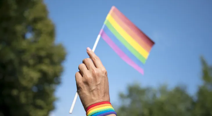 Parada do Orgulho LGBT+ de SP 2026 abordará importância do voto