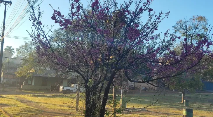 Quarta-feira começa fria em Cascavel, com previsão de tempo firme e ensolarado