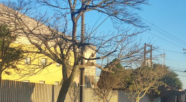 Cascavel amanhece com frio ameno e vento forte