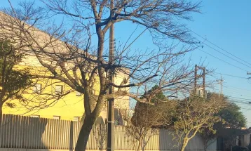 Cascavel amanhece com frio ameno e vento forte