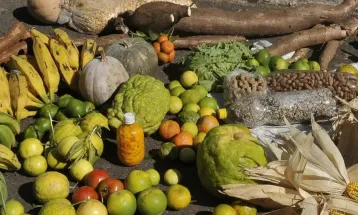 Empréstimo do BNDES para o Plano Safra será recorde de R$ 70 bilhões