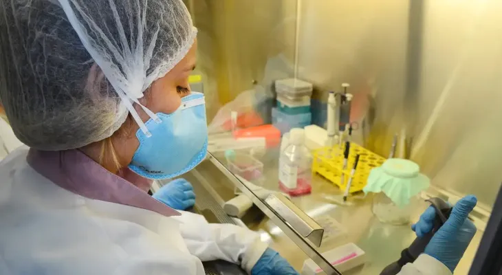 USP: pesquisa de vacina contra zika avança em testes com camundongos