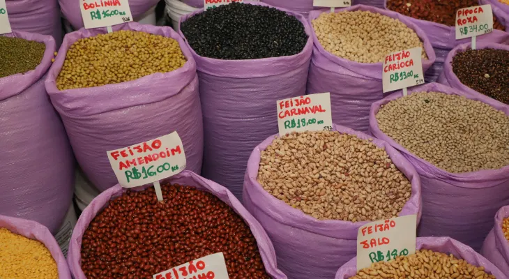 Paraná confirma novo recorde e liderança nacional na produção de feijão: 865 mil toneladas